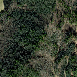 Satellite imagery of Mill Ridge, US