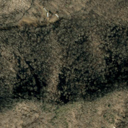 Satellite imagery of Bee Ridge, US