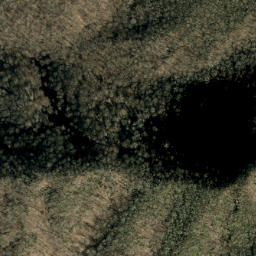 Satellite imagery of Bee Ridge, US