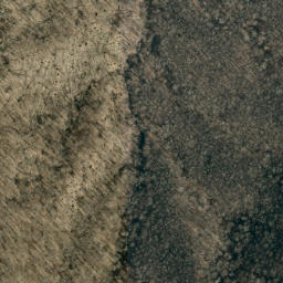 Satellite imagery of Wolf Ridge, US