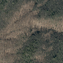 Satellite imagery of Long Ridge, US