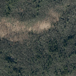 Satellite imagery of Long Ridge, US
