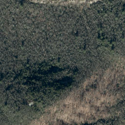 Satellite imagery of Long Ridge, US
