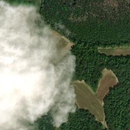 Satellite imagery of Pea Ridge, US