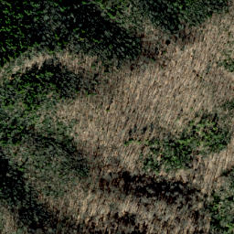 Satellite imagery of Bearpen Ridge, US