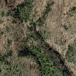 Satellite imagery of Bearpen Ridge, US