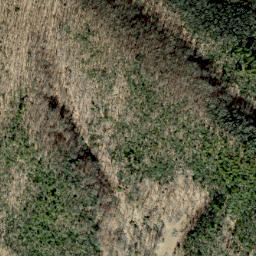 Satellite imagery of Bearpen Ridge, US