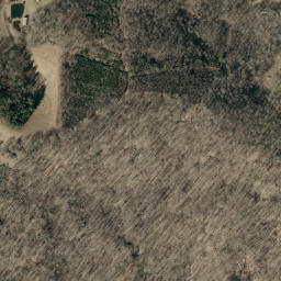 Satellite imagery of Rogers Ridge, US