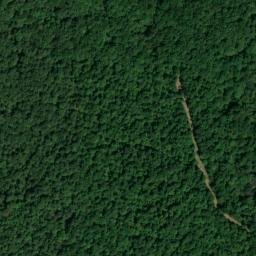 Satellite imagery of Negro Ridge, US