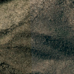Satellite imagery of Sugartree Ridge, US