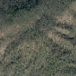 Satellite imagery of Schoolhouse Ridge, US