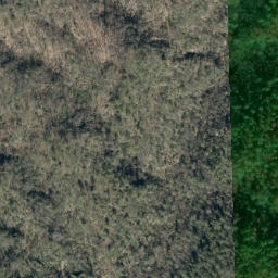 Satellite imagery of Schoolhouse Ridge, US