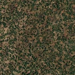 Satellite imagery of 7195 CANYON — NGS DO5695 — Coconino County, US, US
