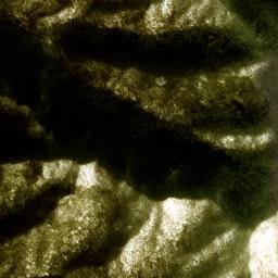 Satellite imagery of 1170.6, JP