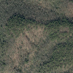 Satellite imagery of Persimmon Ridge, US