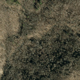Satellite imagery of The Narrows, US