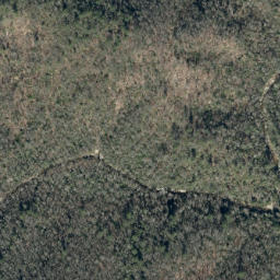 Satellite imagery of Persimmon Ridge, US
