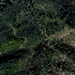 Satellite imagery of Buzzard Roost Ridge, US