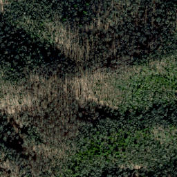 Satellite imagery of Buzzard Roost Ridge, US