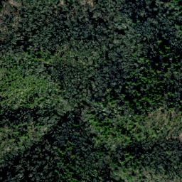 Satellite imagery of Buzzard Roost Ridge, US