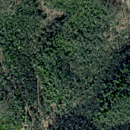 Satellite imagery of Allen Ridge, US