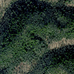Satellite imagery of Alum Ridge, US