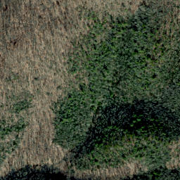 Satellite imagery of Alum Ridge, US