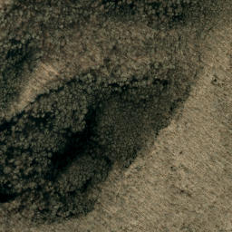 Satellite imagery of Bee Tree Ridge, US