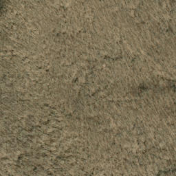 Satellite imagery of Bee Tree Ridge, US