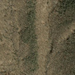 Satellite imagery of Bee Tree Ridge, US