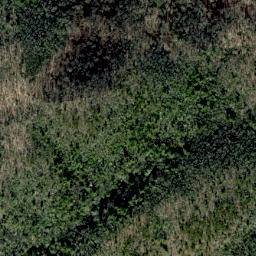 Satellite imagery of Buzzard Roost Ridge, US
