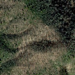 Satellite imagery of Buzzard Roost Ridge, US
