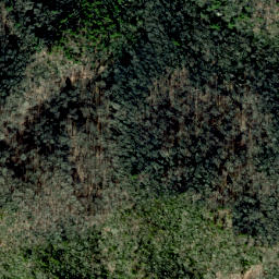 Satellite imagery of Buzzard Roost Ridge, US