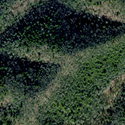 Satellite imagery of Alum Ridge, US