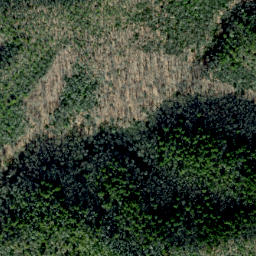 Satellite imagery of Alum Ridge, US