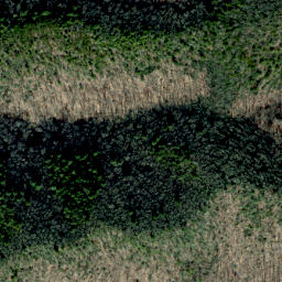Satellite imagery of Alum Ridge, US