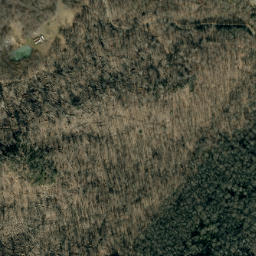 Satellite imagery of Buck Ridge, US