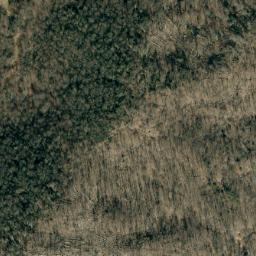 Satellite imagery of Buck Ridge, US