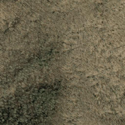 Satellite imagery of Bee Tree Ridge, US