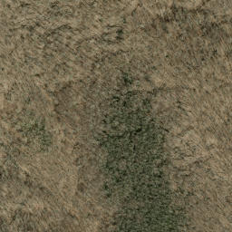 Satellite imagery of Bee Tree Ridge, US