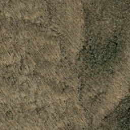 Satellite imagery of Bee Tree Ridge, US
