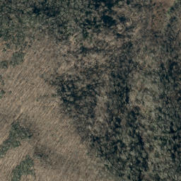 Satellite imagery of Pink Ridge, US
