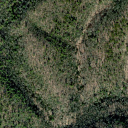 Satellite imagery of Buzzard Roost Ridge, US