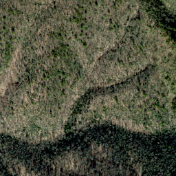 Satellite imagery of Buzzard Roost Ridge, US