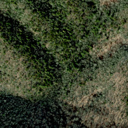 Satellite imagery of Buzzard Roost Ridge, US
