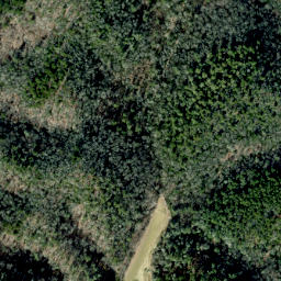 Satellite imagery of Alum Ridge, US