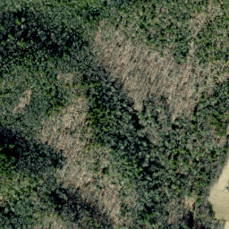 Satellite imagery of Alum Ridge, US