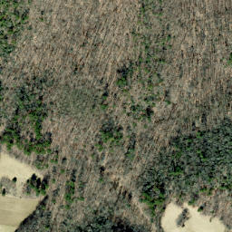 Satellite imagery of Alum Ridge, US
