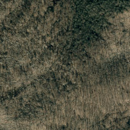 Satellite imagery of Buck Ridge, US