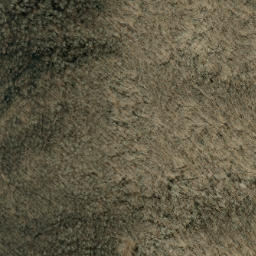 Satellite imagery of Bee Tree Ridge, US